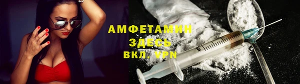 сатива Ельня