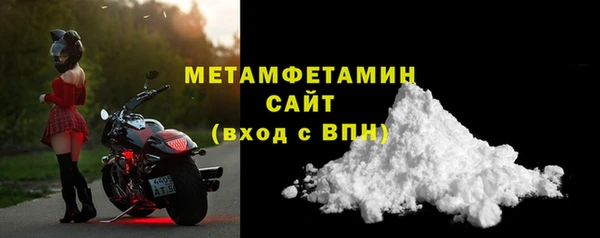 сатива Ельня