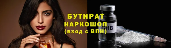 сатива Ельня