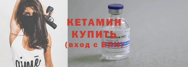 сатива Ельня