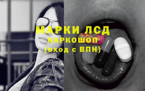 сатива Ельня