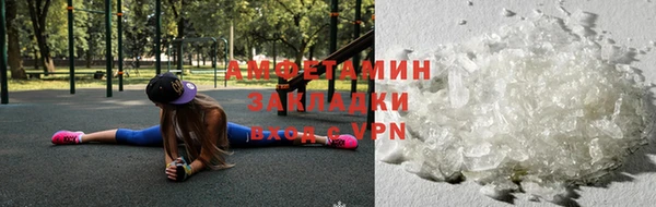 сатива Ельня