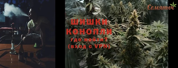 сатива Ельня