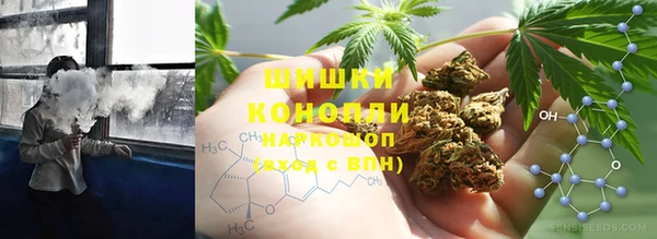 сатива Ельня